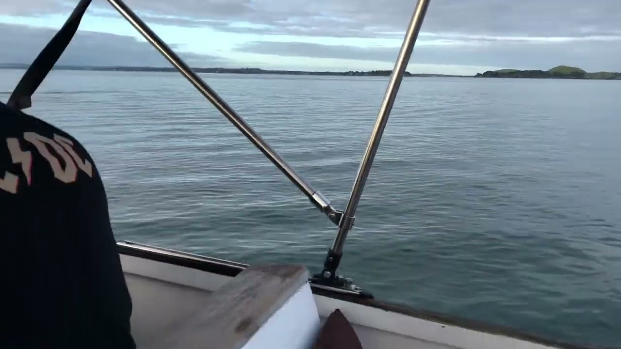 Hauraki gulf New Zealand from the water