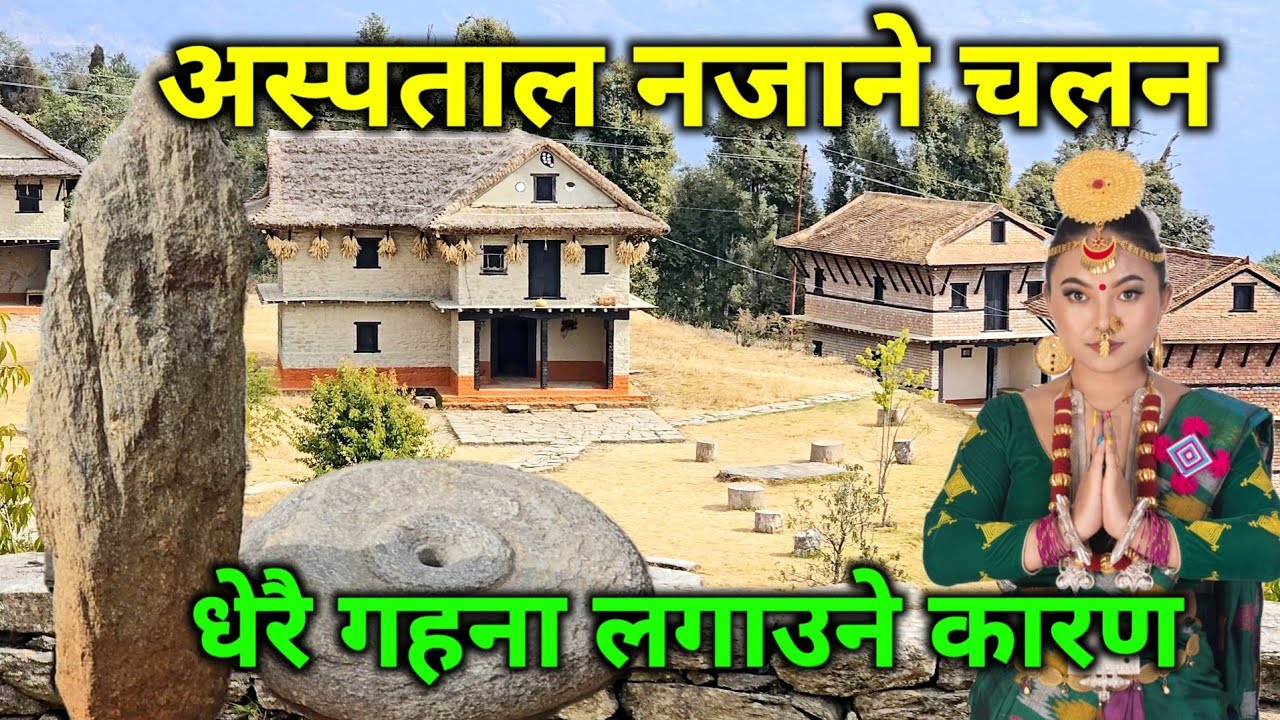 चोलुङ पार्कमा लुकेको कथा | पैयु फुल्दा माईत जाने आरु फुल्दा घर आउने चलन