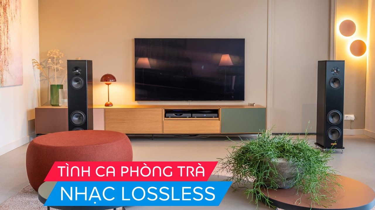 TÌNH CA PHÒNG TRÀ NHẸ NHÀNG THƯ THÁI / NHẠC LOSSLESS CHẤT LƯỢNG CAO / MUSIC