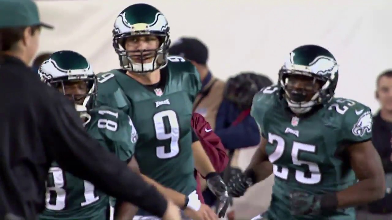 Bears vs Eagles 2013 Week 16