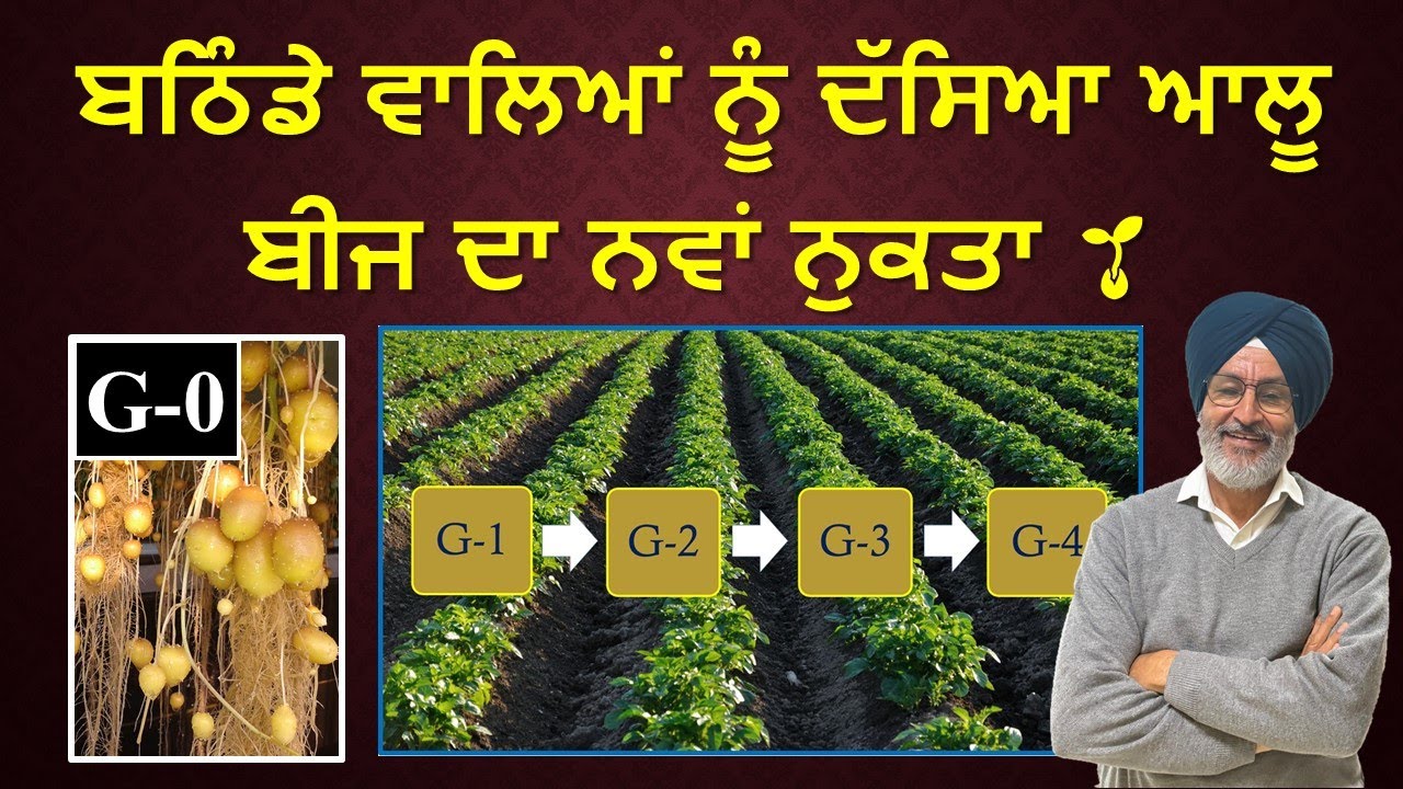 97 - ਸਾਇੰਟਿਸਟਾਂ ਨੇ ਦੱਸਿਆ ਰਾਜ਼: ਕਿਵੇਂ ਕਿਸਾਨ ਬਣਾ ਸਕਦਾ  ਵਾਇਰਸ-ਮੁਕਤ ਆਲੂ?