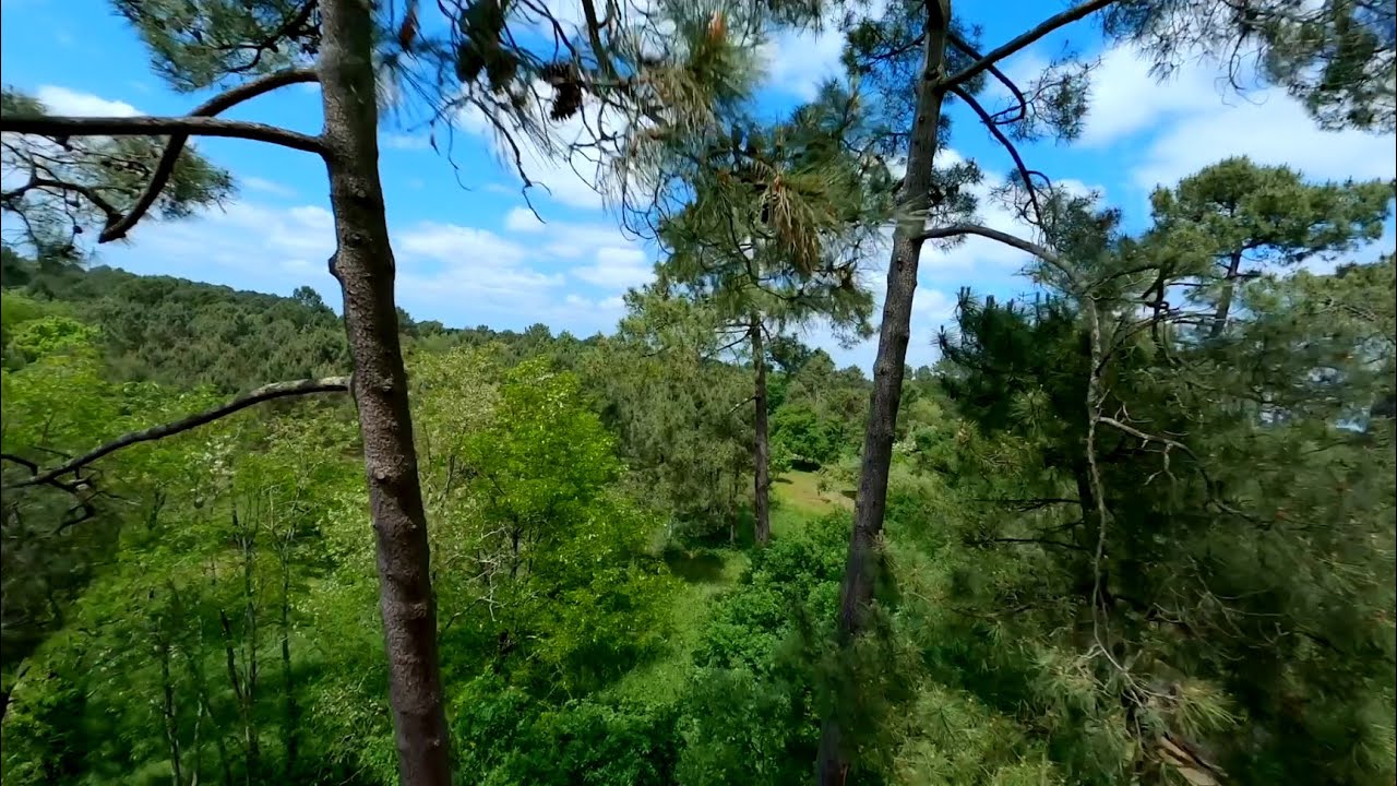 Drone CinemaH Newbeedrone FPV fly test