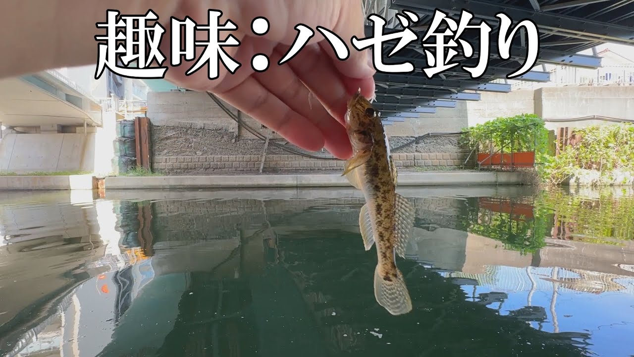 趣味：ハゼ釣り