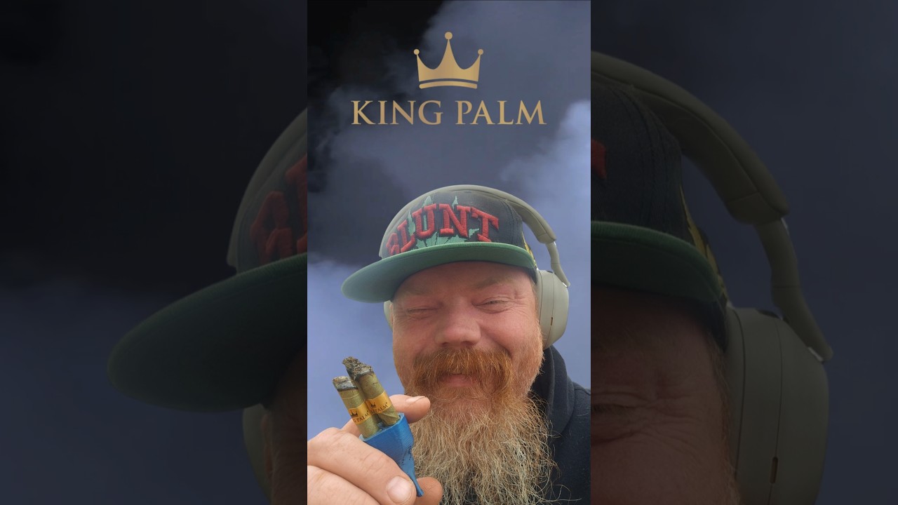 King Palm Triple #hoodbillylife #420vibes #kingpalm