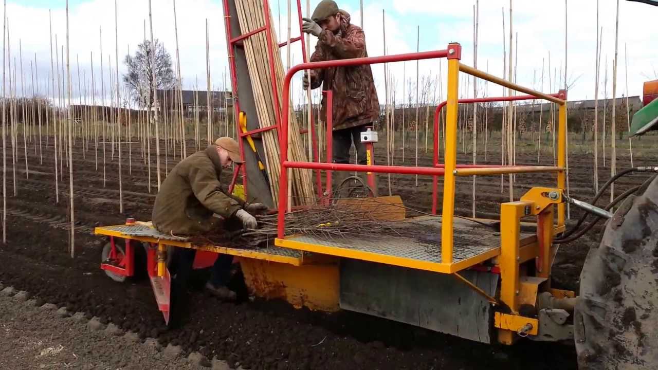 Tractor Tree Planting Machine at Beardsworths Nurseries