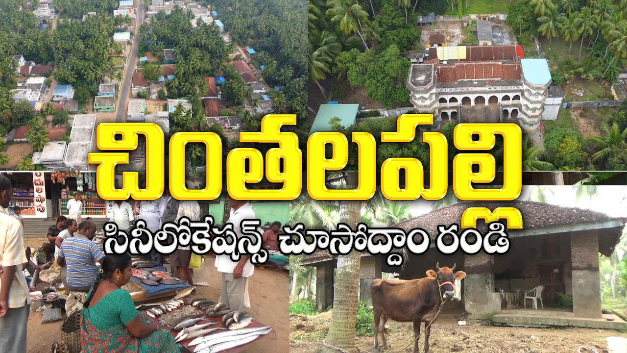 చింతలపల్లి -  Chintalapalli village - Godavari villages - Konaseema  Andhra Pradesh