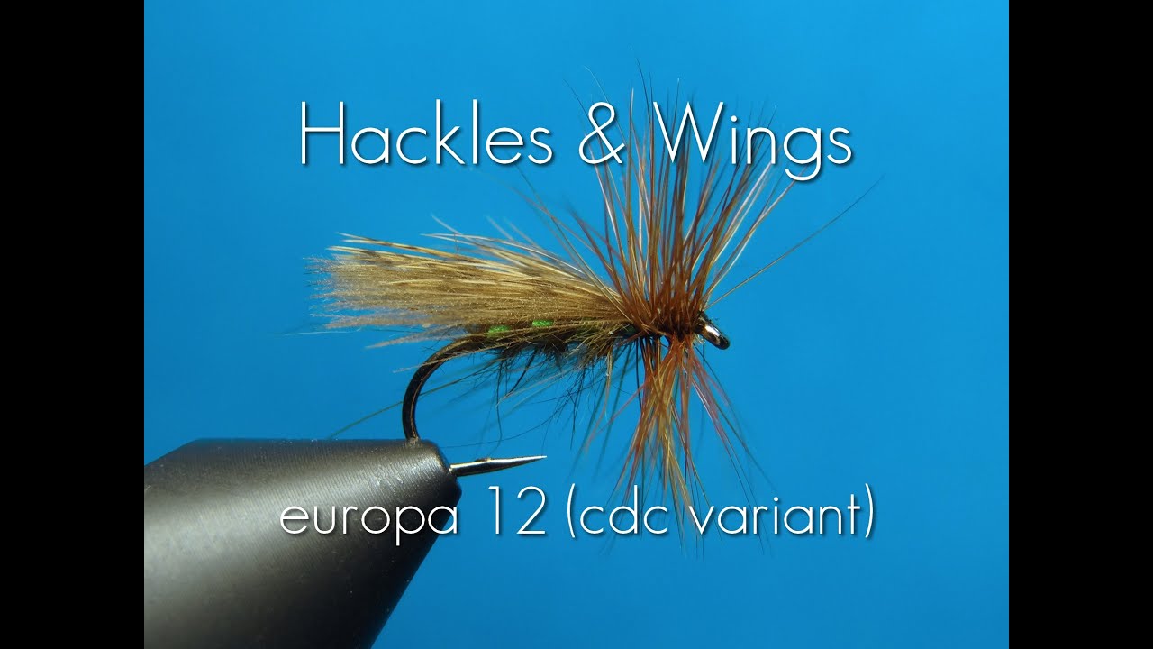 Fly Tying Europa 12 (cdc variant) | Hackles & Wings