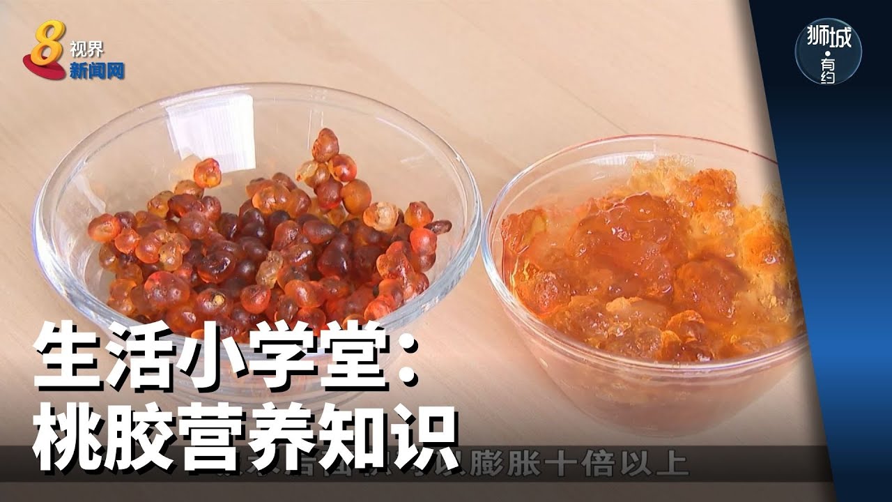 狮城有约 | 生活小学堂：桃胶营养知识