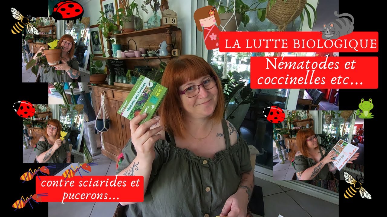 🌿LUTTE BIOLOGIQUE🌿 Les NEMATODES et COCCINELLES🐞contre les sciarides🦟et pucerons_ 📚 livre 0 déchet😊