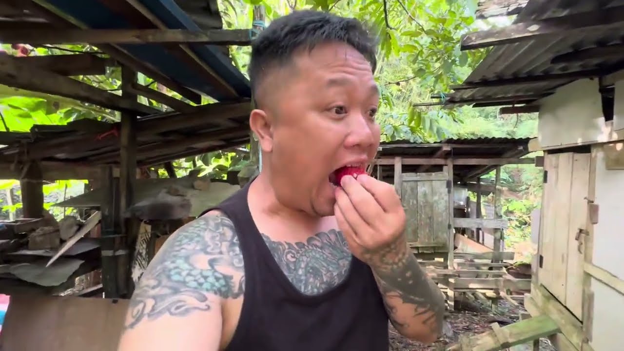 Suasana Pagi Di Kampung,Chek Kebun Sayur Dan Reban Ayam…//