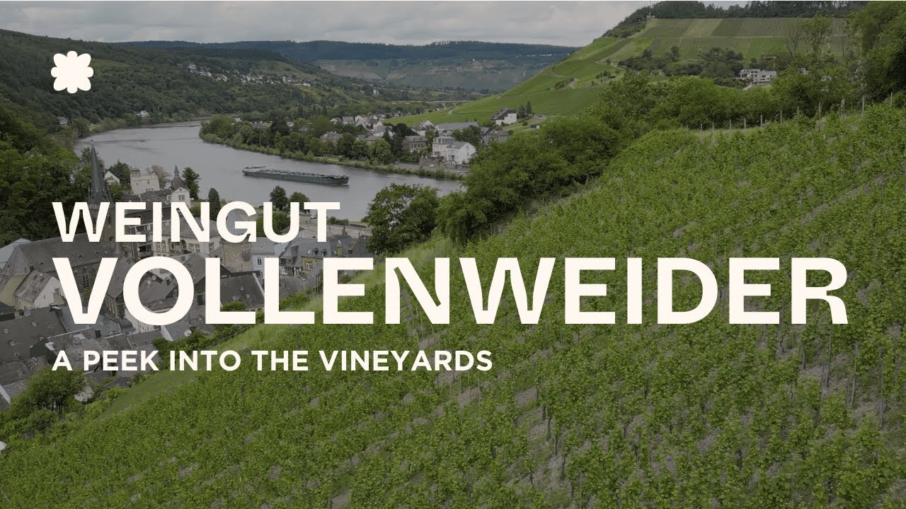 Weingut Vollenweider Vineyards | Mosel 🇩🇪