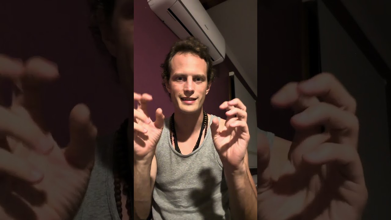 VLOG 131 - On the Difference Between Happiness and a Joyful Attitude 