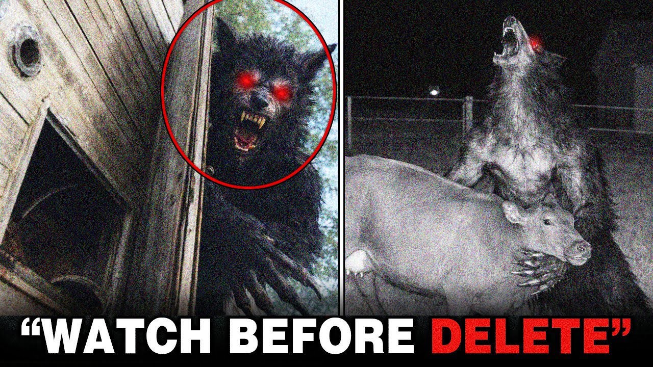 Most Horrifying Leaked Dogman Footages Caught On Camera &mdash; Watch Now Before Deleted