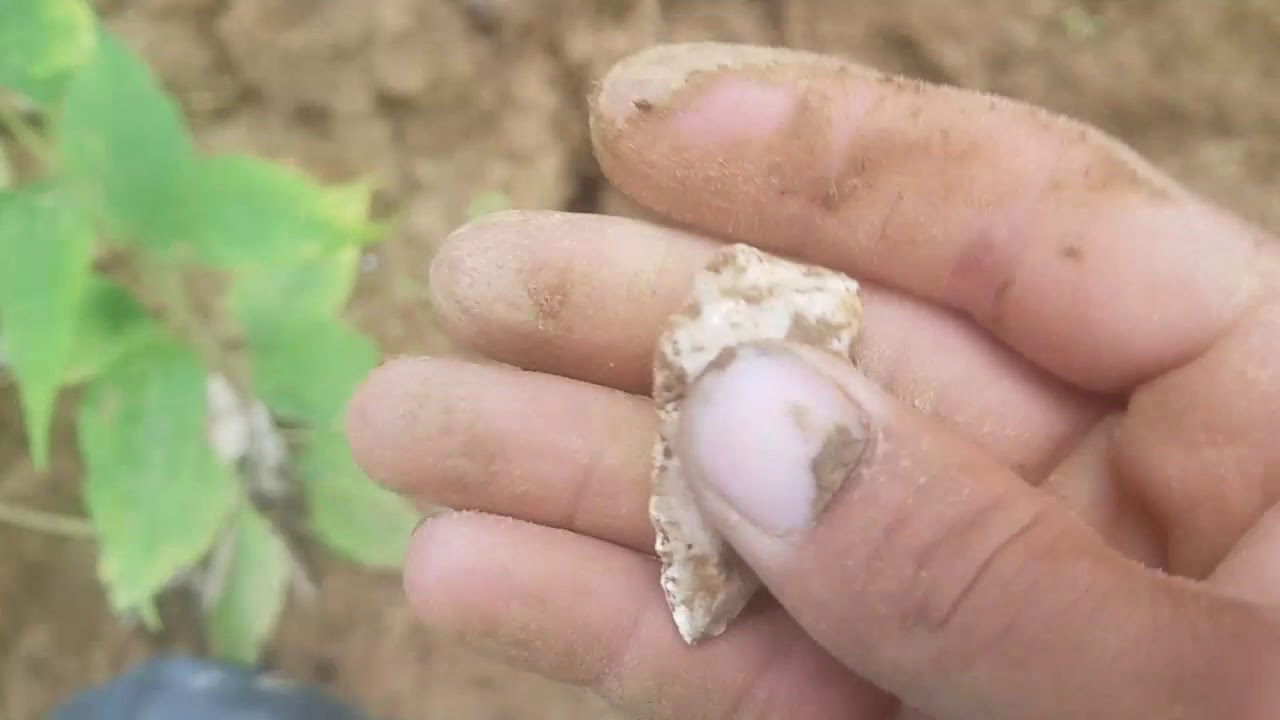 Killer Paleo Blade! Missouri Arrowhead Hunting
