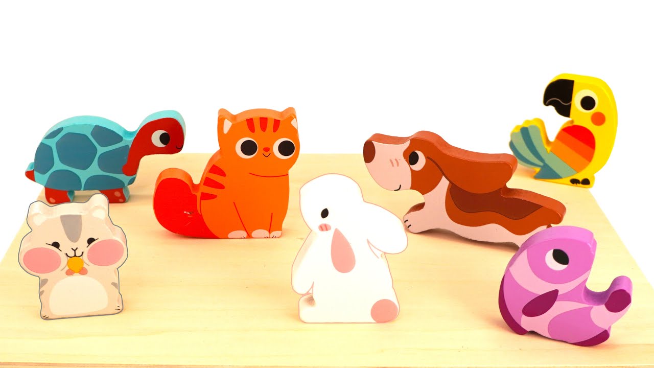 Pet Animal Puzzle| Find The Missing Pieces Activity | VIDEO FOR TODDLERS