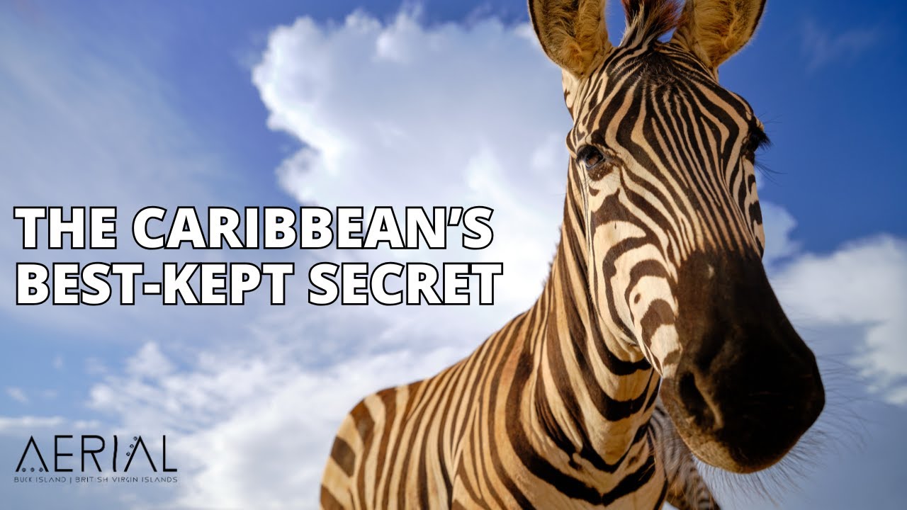 This Is The Aerial, BVI &ndash; Your Private Island Escape