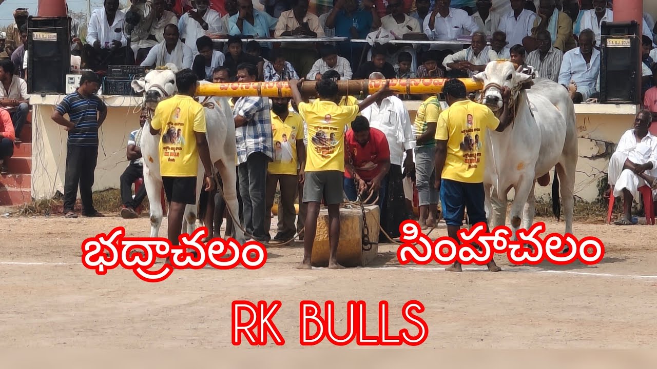 ఆకుల గణపవరం న్యూ కేటగిరి 10వ జత RK BULLS (భద్రాచలం సింహాచలం) వేటపాలెం బాపట్ల జిల్లా