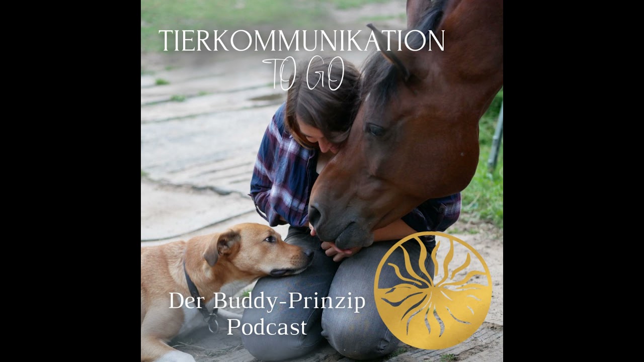 Tierkommunikation meets Schamanismus - mit Sonja Mulde