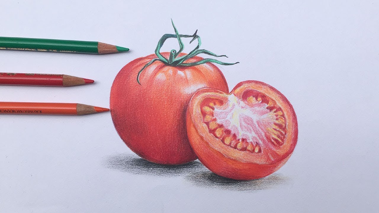 Tomatoes drawing  in color pencils | realistic tomato drawing | faber castell polychromos