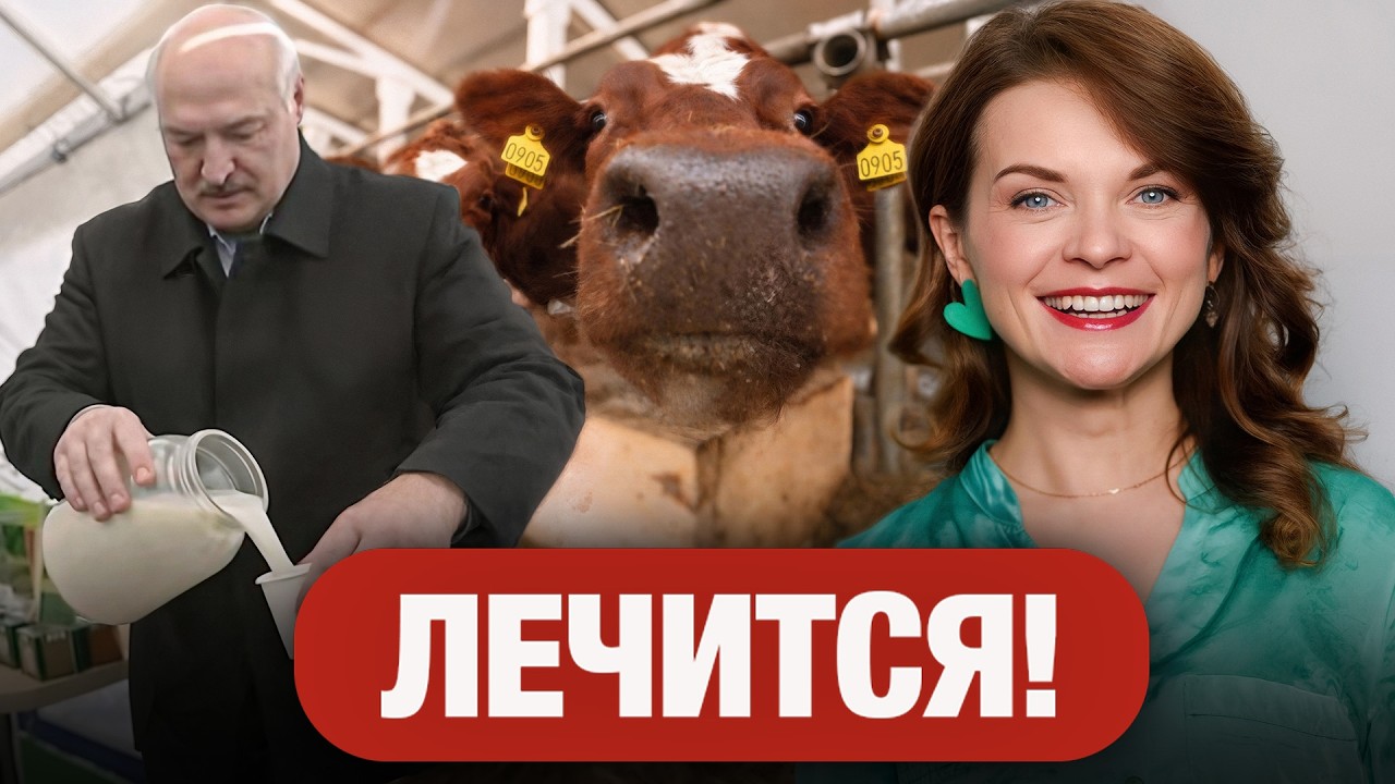 Лукашенко в панике носится по фермам. Русских накрыло из-за Ирана / ТОКАРЧУК, новости Беларуси