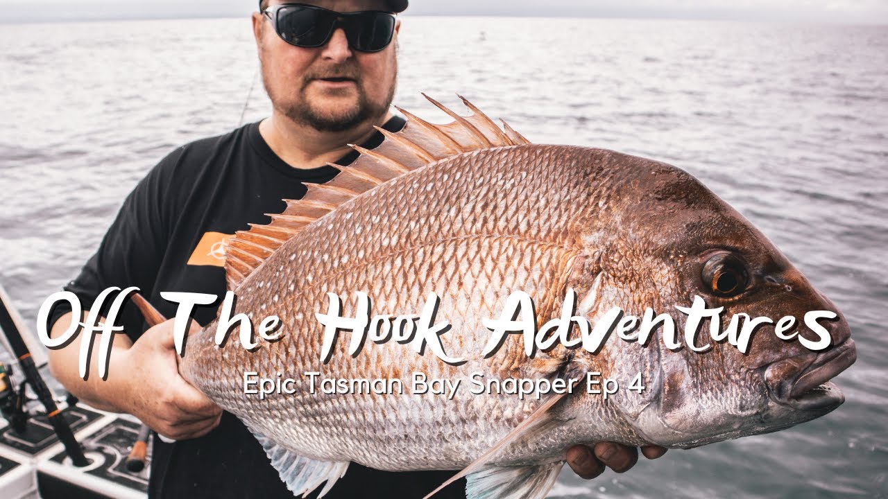 Epic Tasman Bay Snapper Mission // Off the Hook Adventures #fishing #snapper #adventure