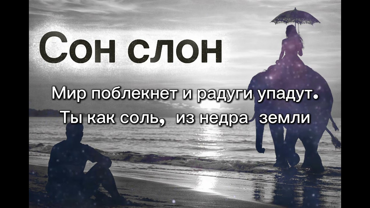 СОН- Слон. Песня о том, как дорога память ... а слон моё любимое животное.  