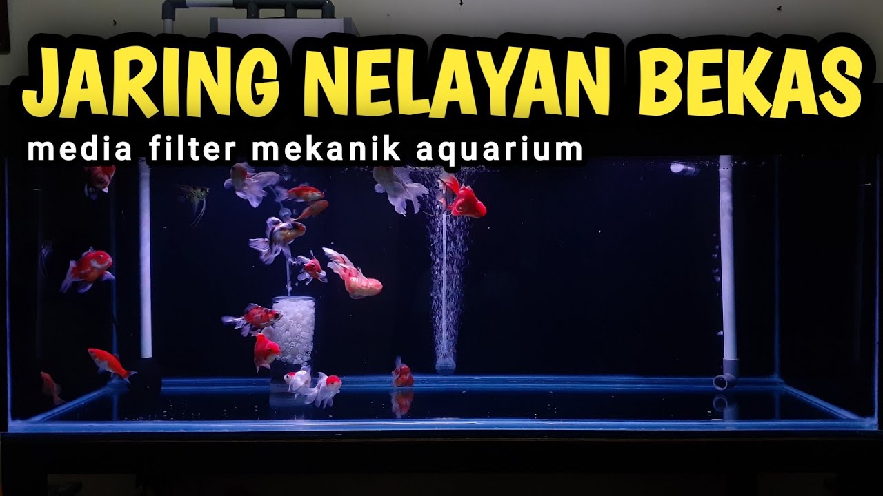 media filter mekanik aquarium ikan mas koki jaring nelayan bekas