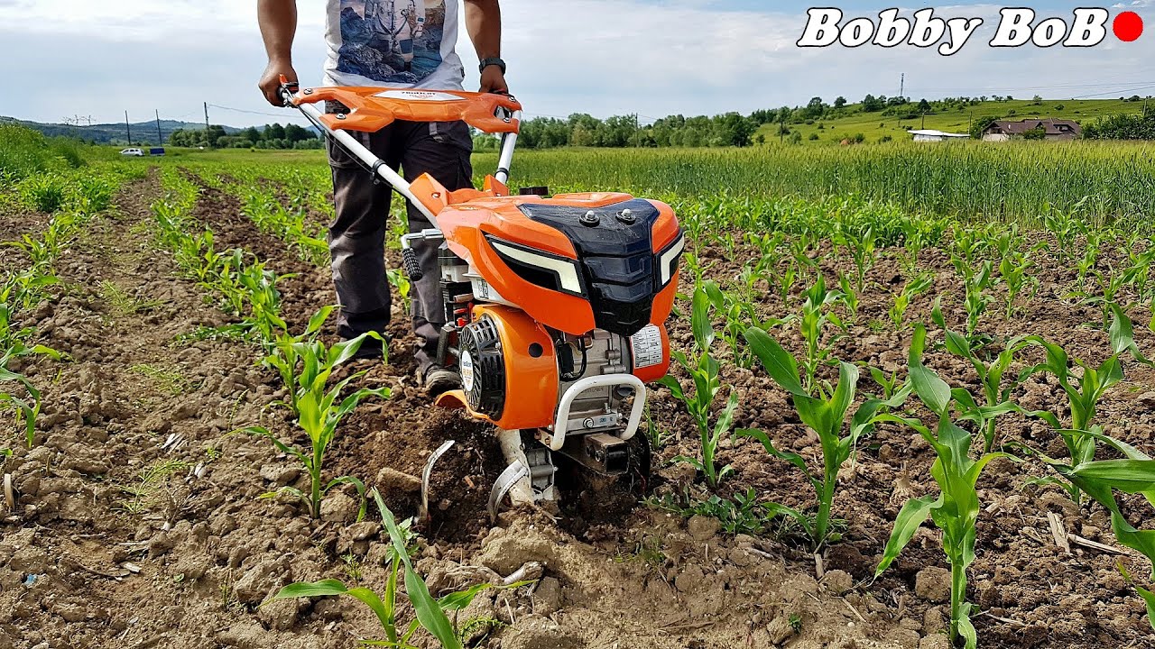 La porumbi cu motosapa 7800 crt / work at corn with tiller