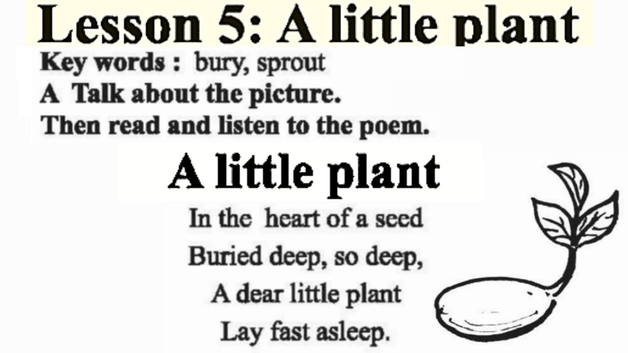 Unit Two Lesson 5: A Little Plant| A Little Plant Class 8 | Food And Nutrition | English For Today |