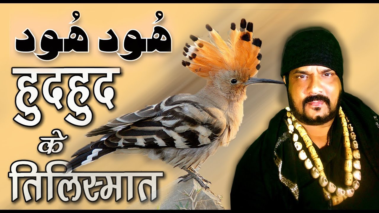 हुद हुद  -  बाबा रिज़वान खान  BABA RIZWAN KHAN  #hudhud #amal #parinda  #wajifa