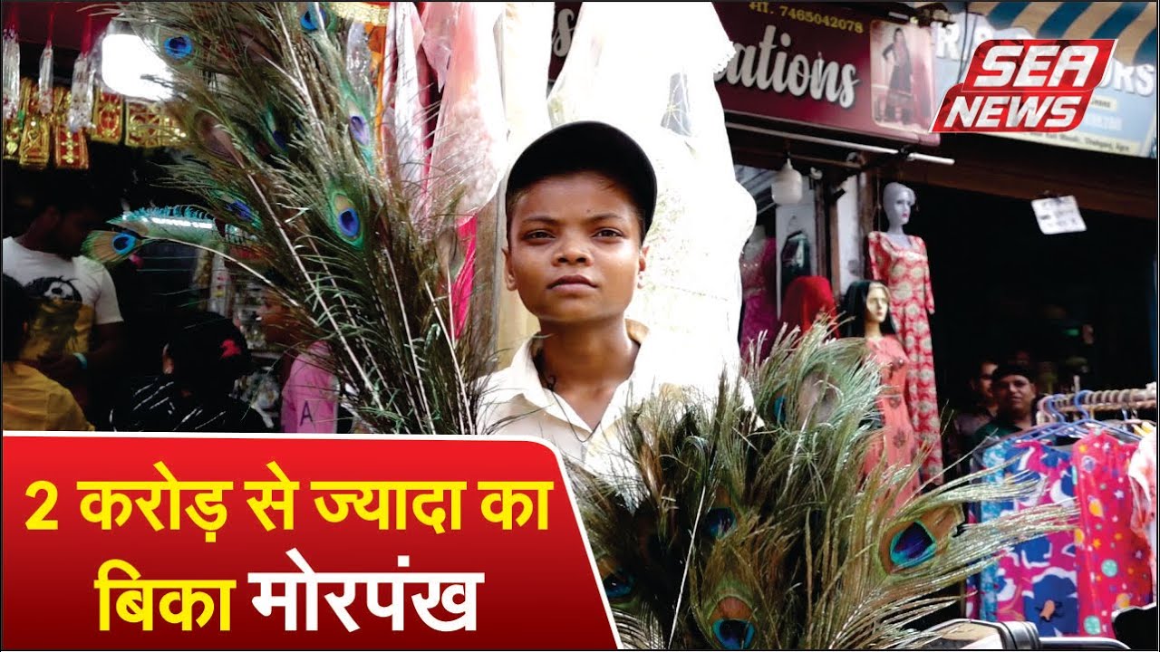 2 करोड़ से ज्यादा का बिका मोरपंख | Peacock feathers worth more than Rs 2 crore sold