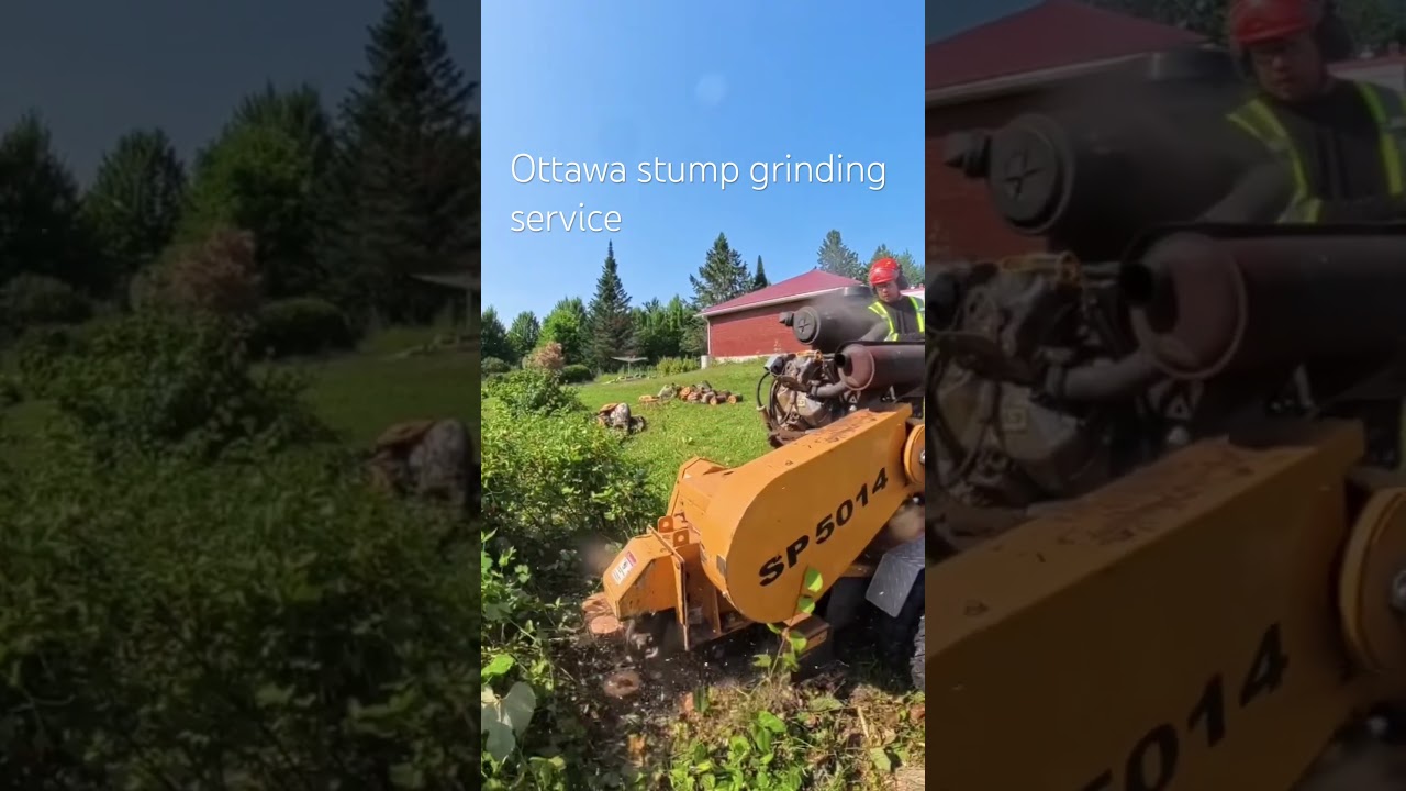 Ottawa stump grinding service