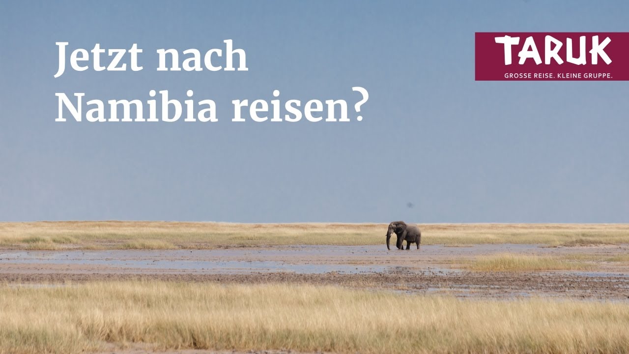 Der Etosha National Park fast menschenleer! Die beste Reisezeit für Namibia? Reisevlog – Teil 4/4