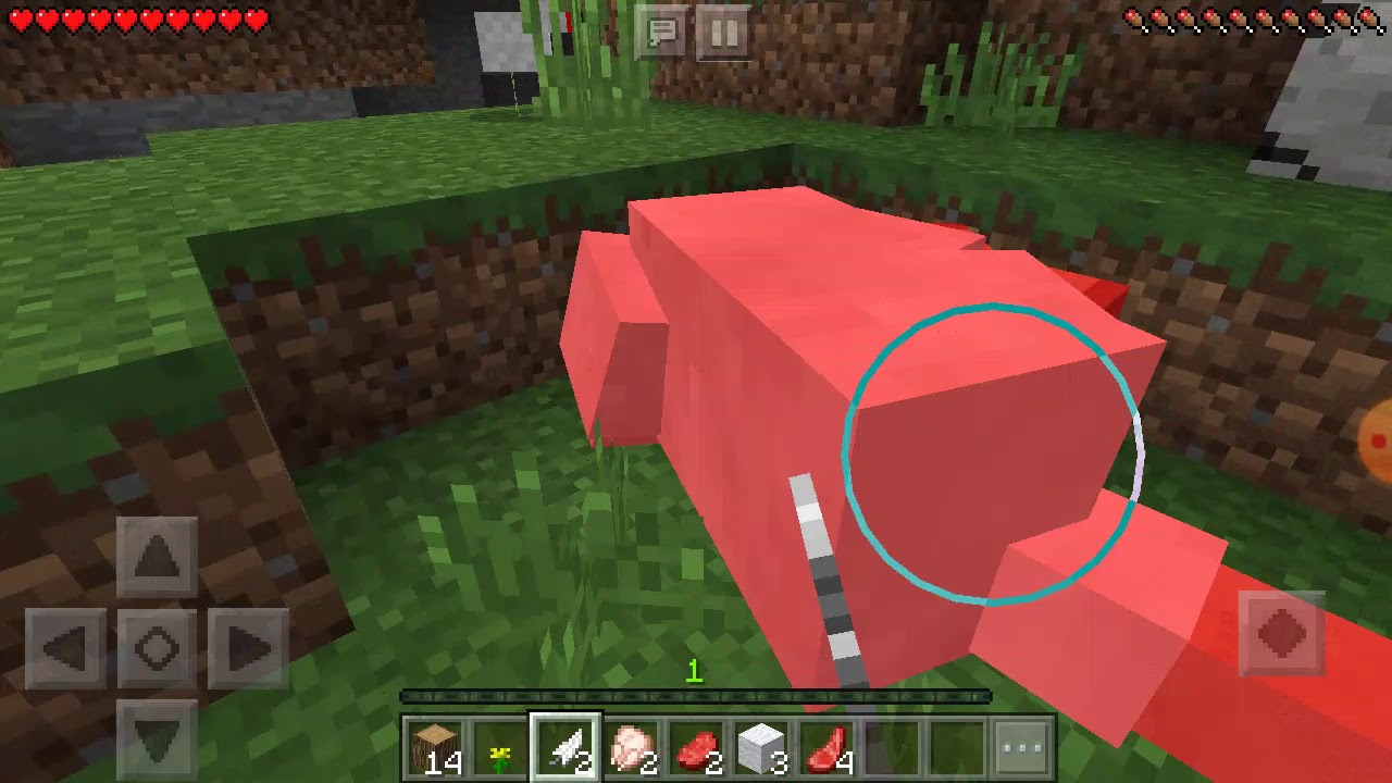 Minecraft sorozat #1 /megszakadt felv&eacute;tel /
