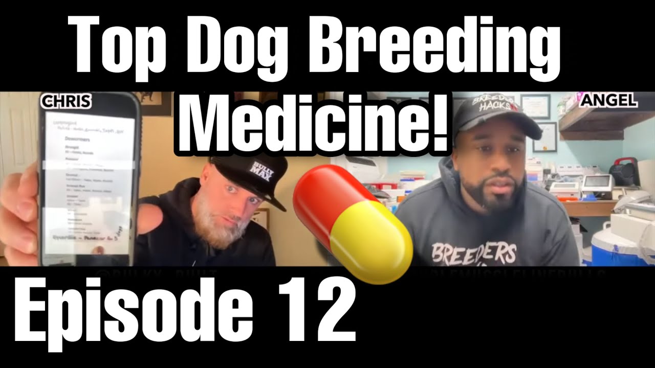 Top medicine to have as a dog breeder! With @Double muscle line Bulls  & @Chris and Gina, iBulldogges x BULKY BUILT