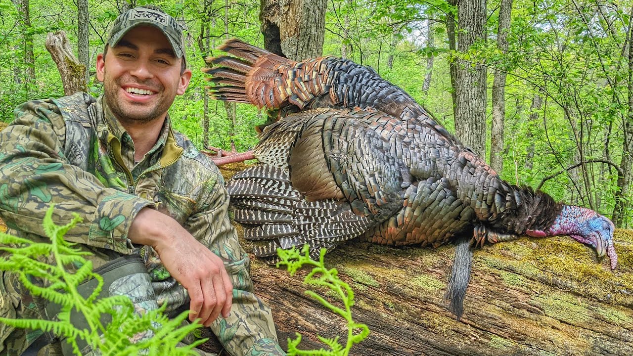 Turkey Calling With A Dash Of Woodsmanship - Recipe For A Successful Hunt