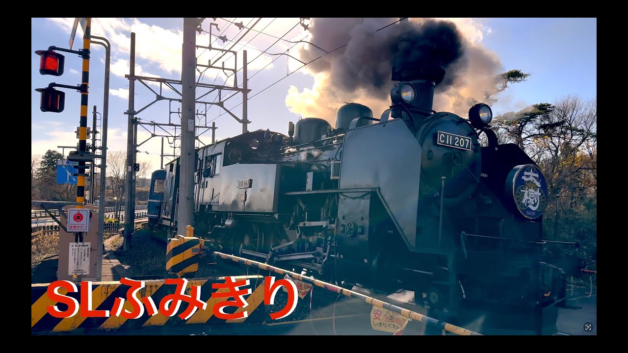 【電車】【ふみきり　鉄道】SL大特集！steam locomotive 蒸気機関車　トーマス　トビー　汽車　train video railway crossing 東武　大井川鐵道