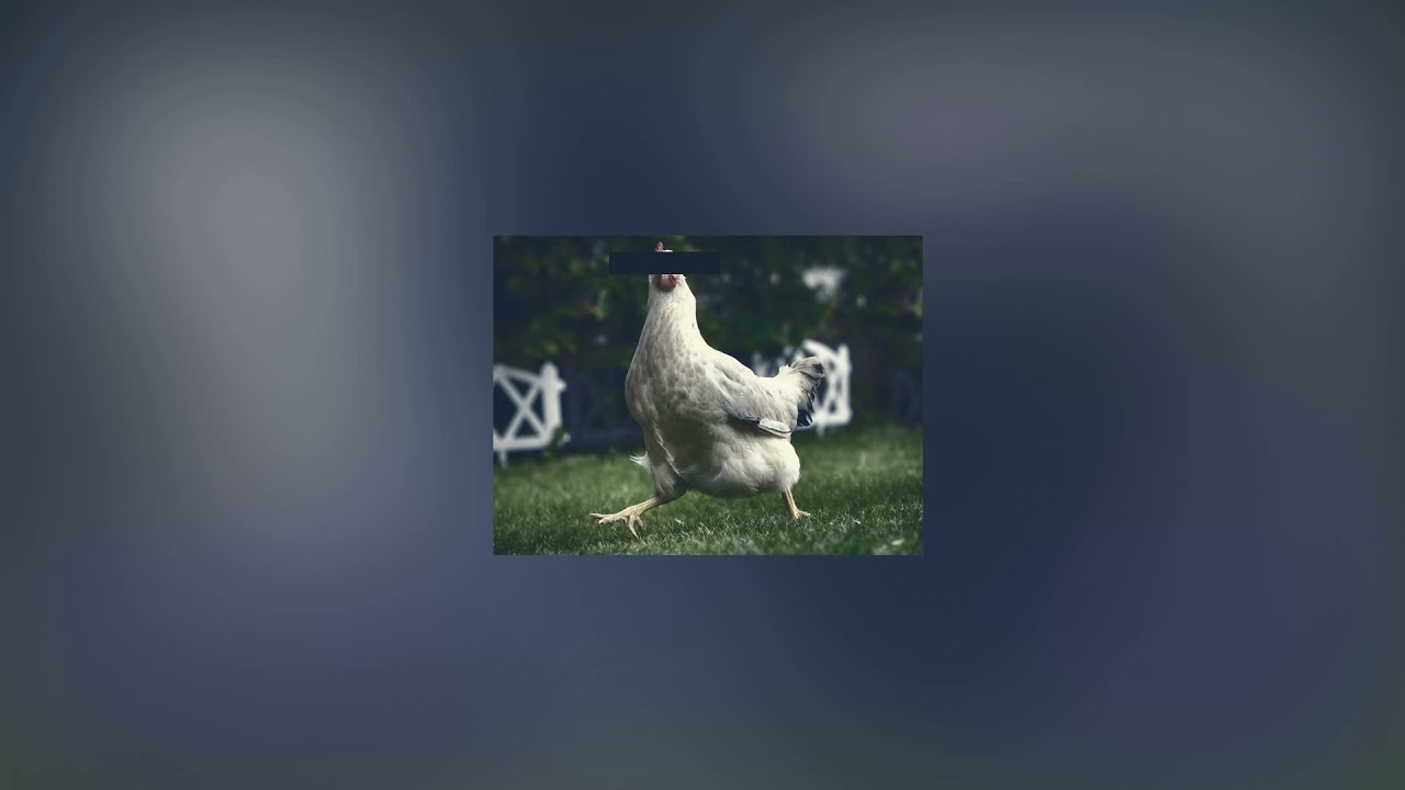 Chicken Dance Song [Slowed + Reverb]