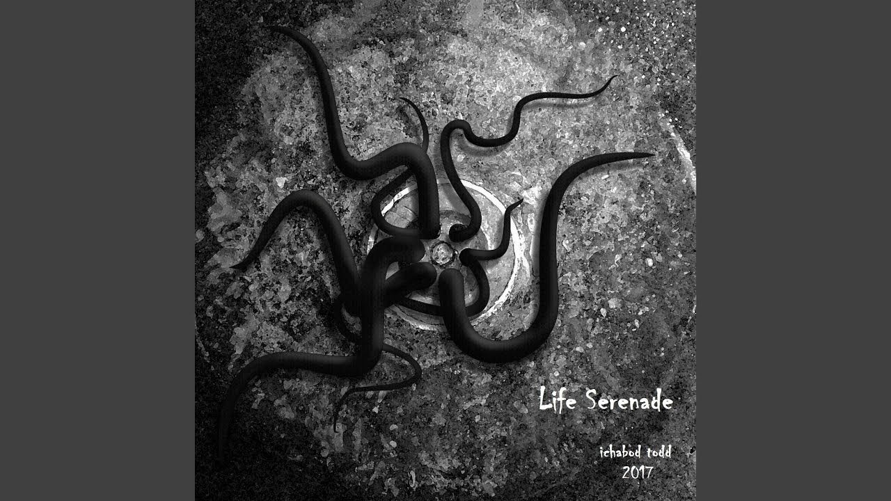 Life Serenade
