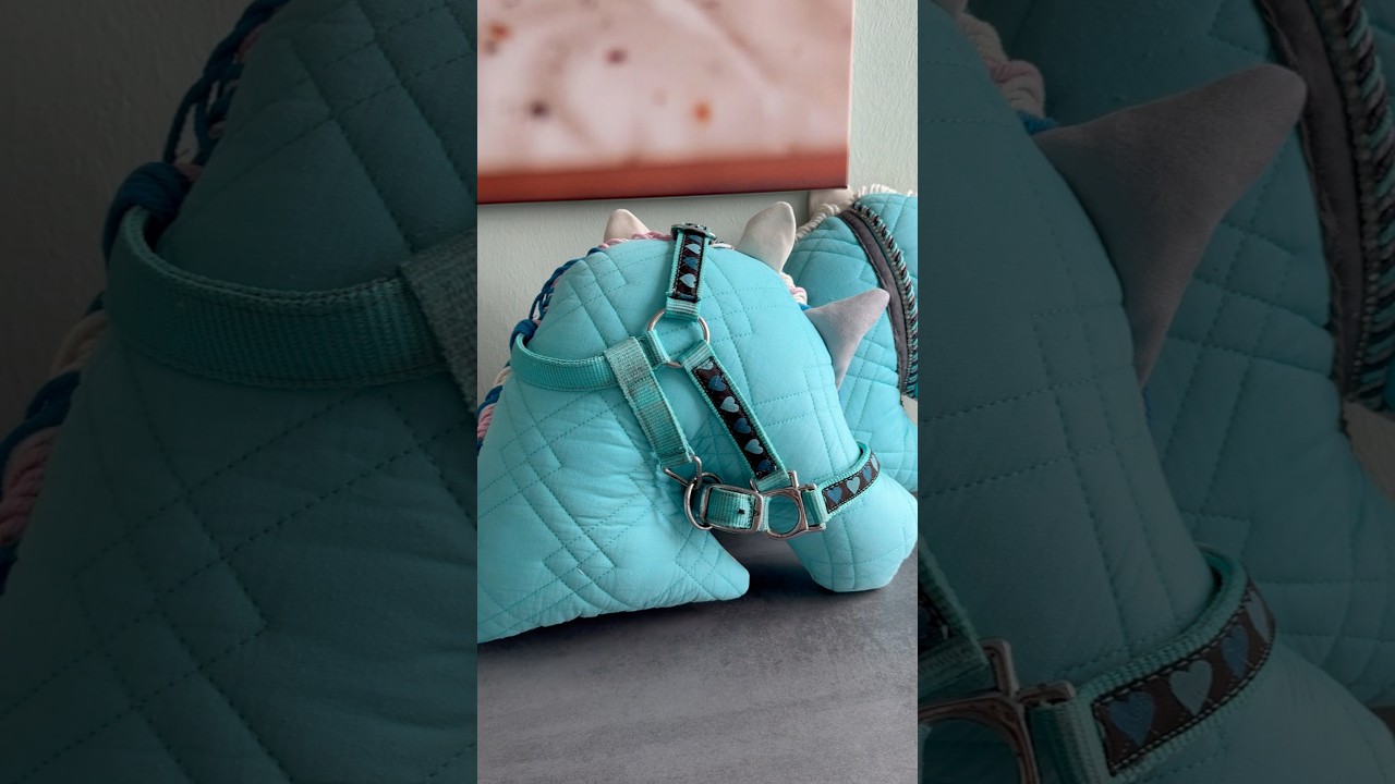 🐴🤭🙌🏽 #erinnerungsst&uuml;ck #erinnerungen #pferde #pferdeliebe #schabracke