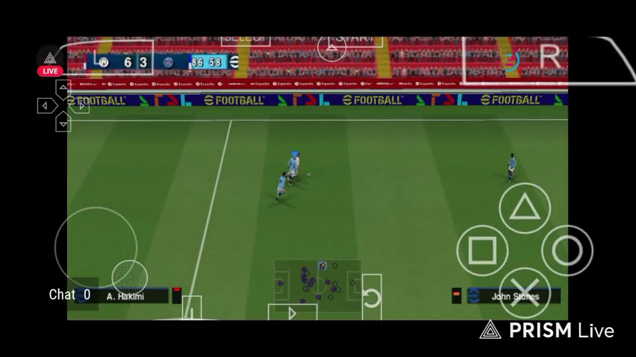 Live streaming of WINGIFYLITY