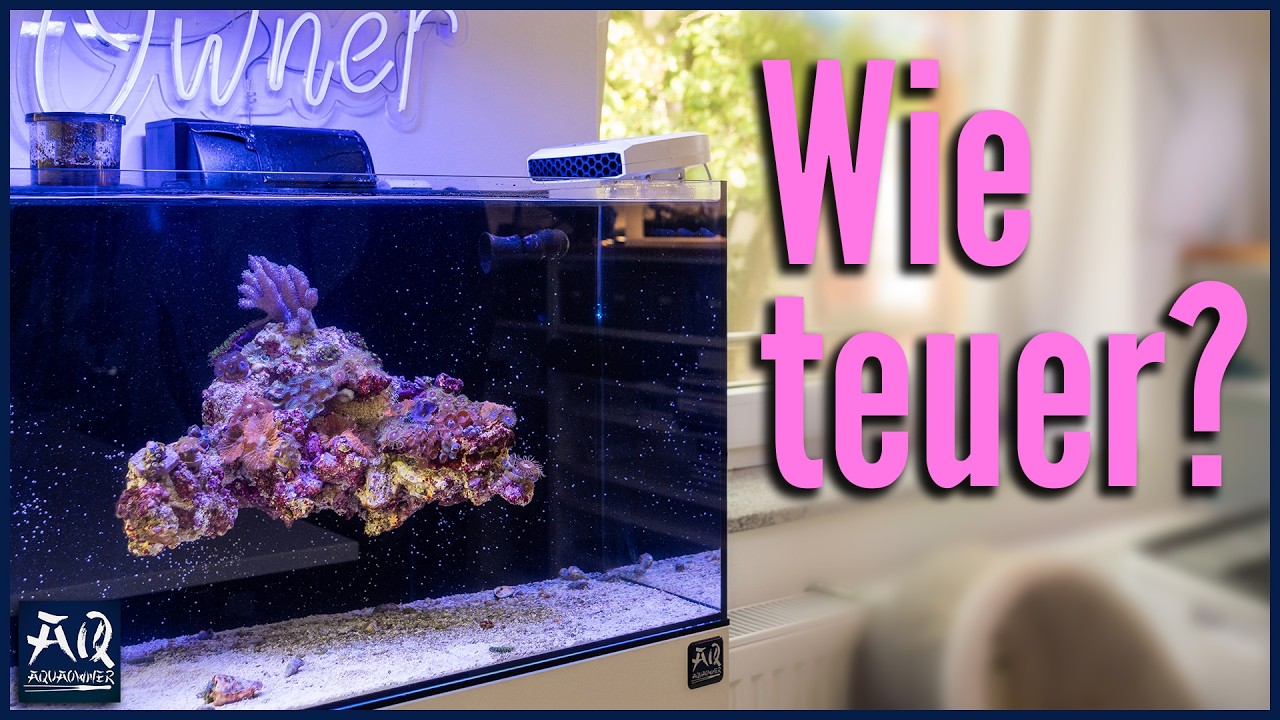 Wie viel hat mein Flying Reef gekostet? | AquaOwner