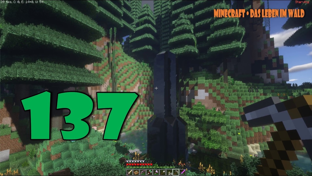 Minecraft 137 Auf dem Weg