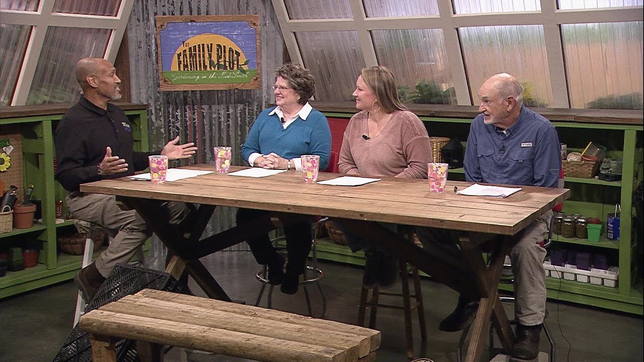 The Family Plot - January 24, 2026