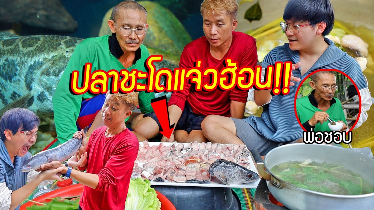 ปลาชะโดแจ่วฮ้อน!! ปลาที่โคตรดุร้ายในตำนาน