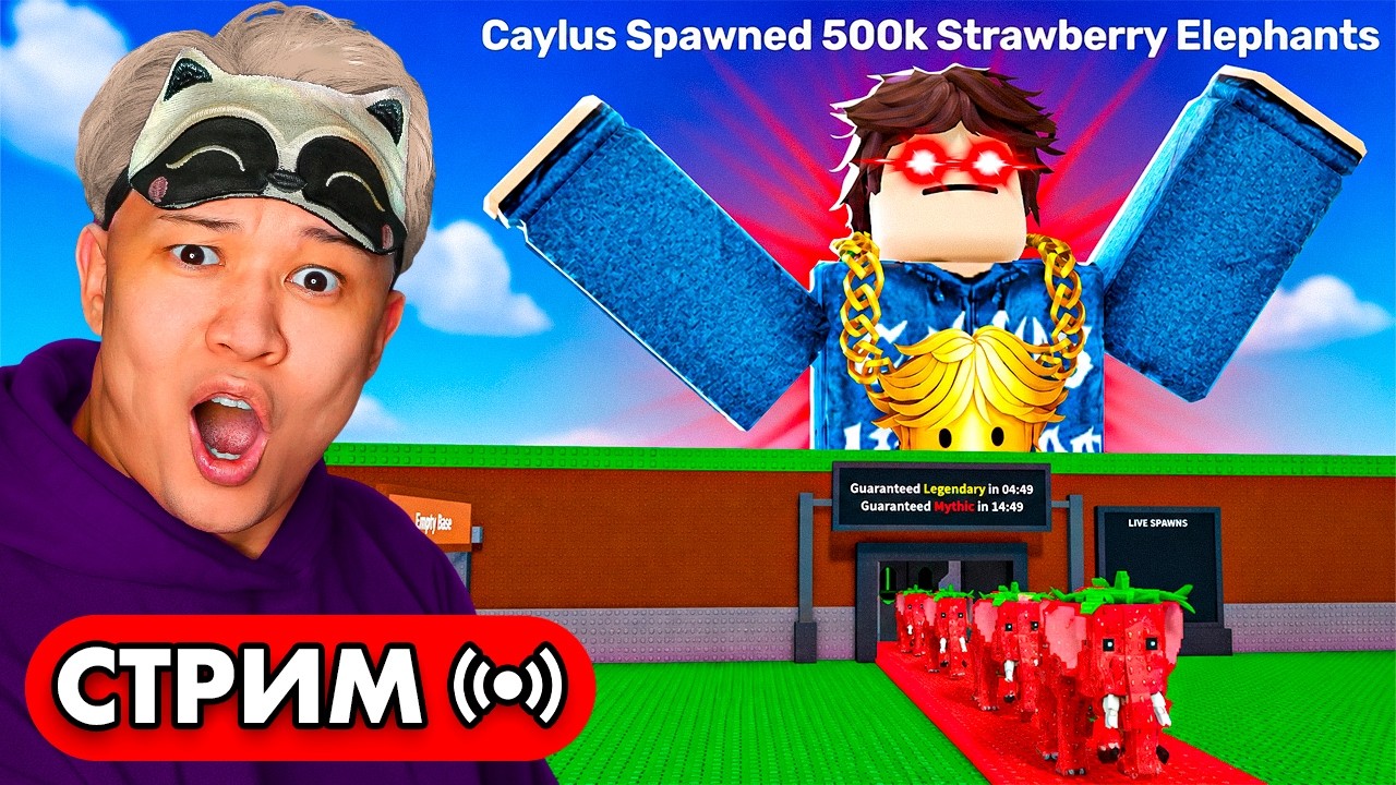 СЕКРЕТНЫЙ АДМИН АБЬЮЗ ОТ КАЙЛУСА! STEAL A BRAINROT Caylys ADMIN ABUSE!