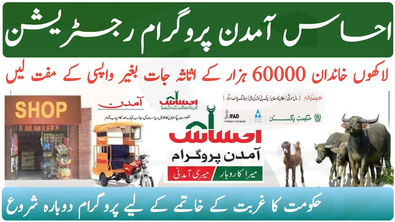 Ehsaas Amdan Program || How To Get Ehsaas Amdan Registration Asset 60000 || Ehsaas Amdan Assset