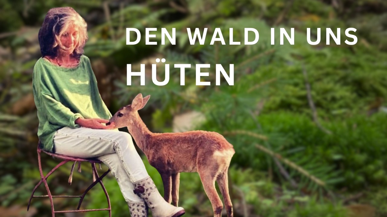 Spagyrisches Teegespräch: Den Wald in uns hüten
