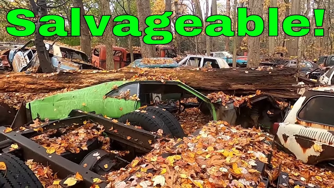 Found A Rare Ford Mustang In An Old Junkyard........Should We Save It?