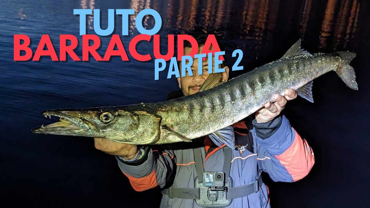 Les tutos Fish& Chill - Le barracuda [Partie 2] + BONUS gros barra en fin de vidéo !